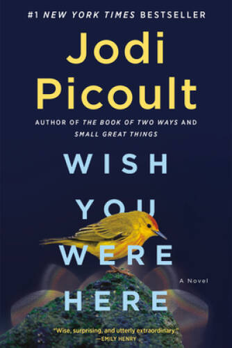 Wish you were here novel - you,